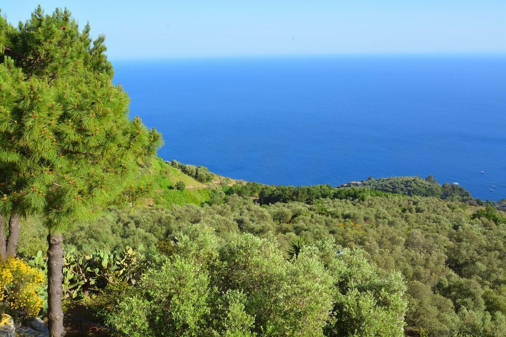 Apartmán Neranya Massa Lubrense Exteriér fotografie
